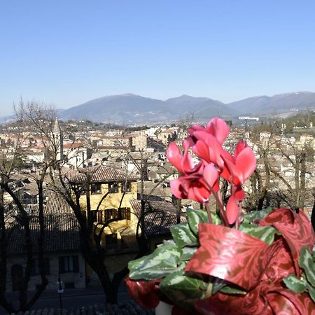 Le Mura Antiche Spoleto Luaran gambar